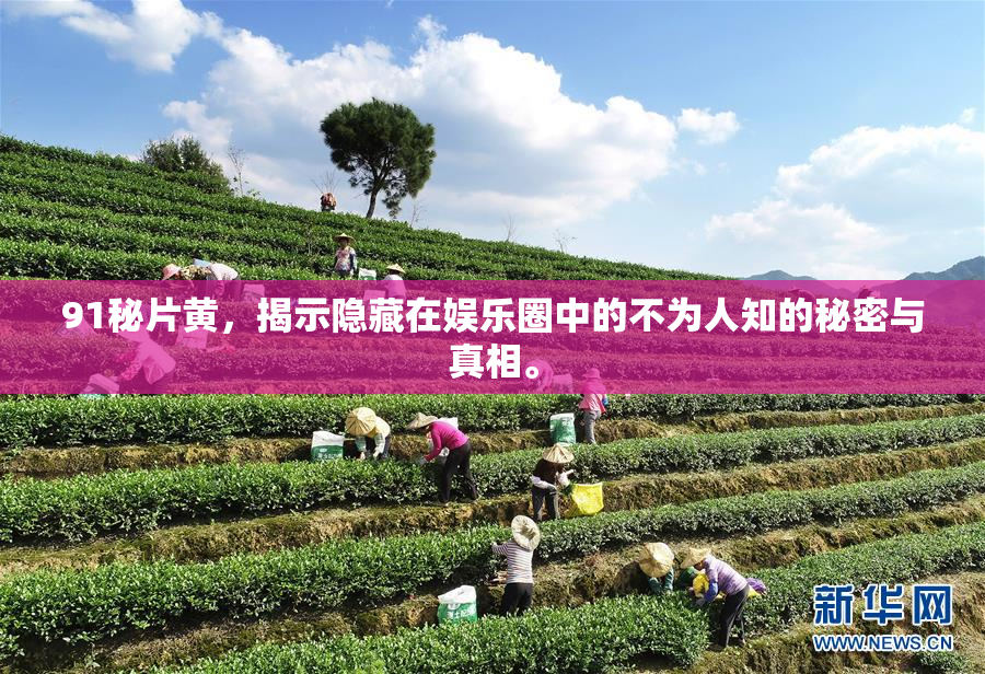 91秘片黄，揭示隐藏在娱乐圈中的不为人知的秘密与真相。