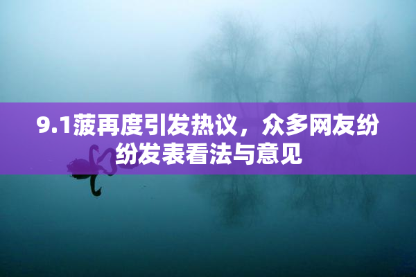 9.1菠再度引发热议，众多网友纷纷发表看法与意见