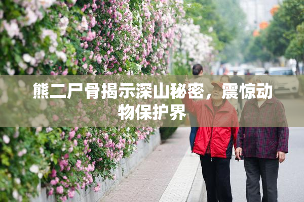 熊二尸骨揭示深山秘密，震惊动物保护界