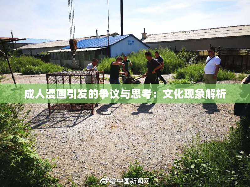 成人漫画引发的争议与思考：文化现象解析