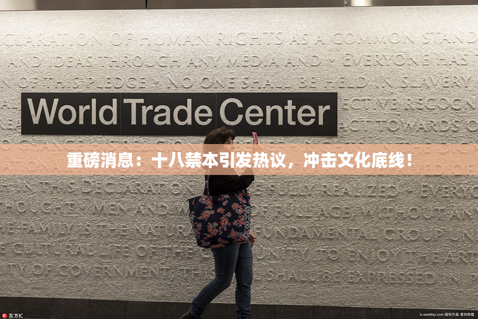 重磅消息：十八禁本引发热议，冲击文化底线！