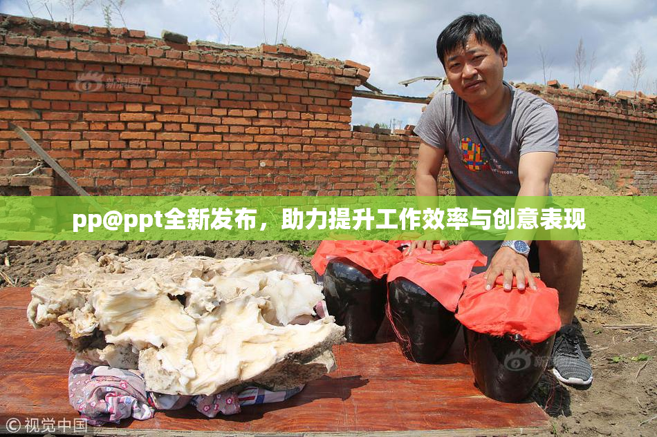 pp@ppt全新发布，助力提升工作效率与创意表现