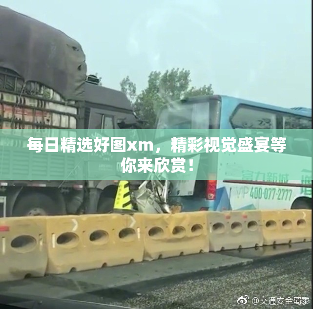 每日精选好图xm，精彩视觉盛宴等你来欣赏！