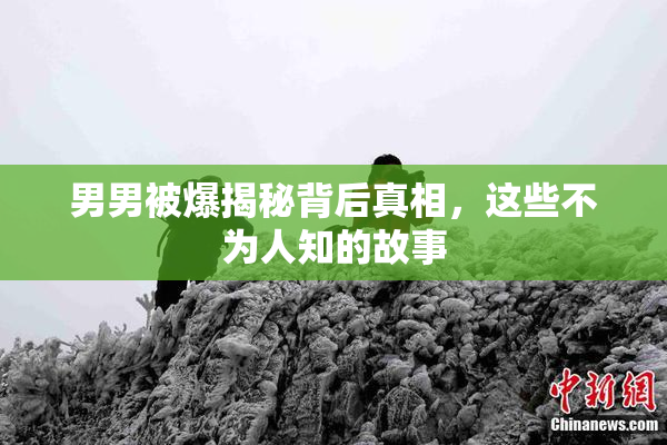 男男被爆揭秘背后真相，这些不为人知的故事