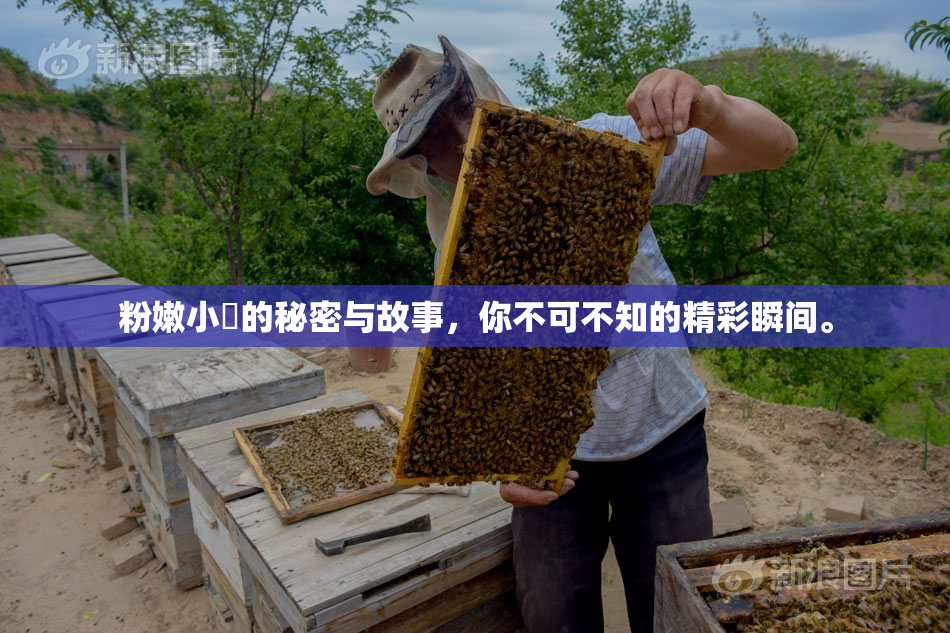 粉嫩小泬的秘密与故事，你不可不知的精彩瞬间。