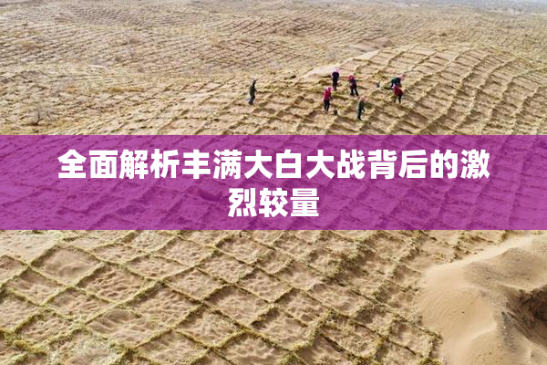 全面解析丰满大白大战背后的激烈较量