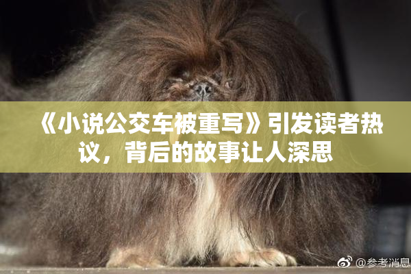 《小说公交车被重写》引发读者热议，背后的故事让人深思