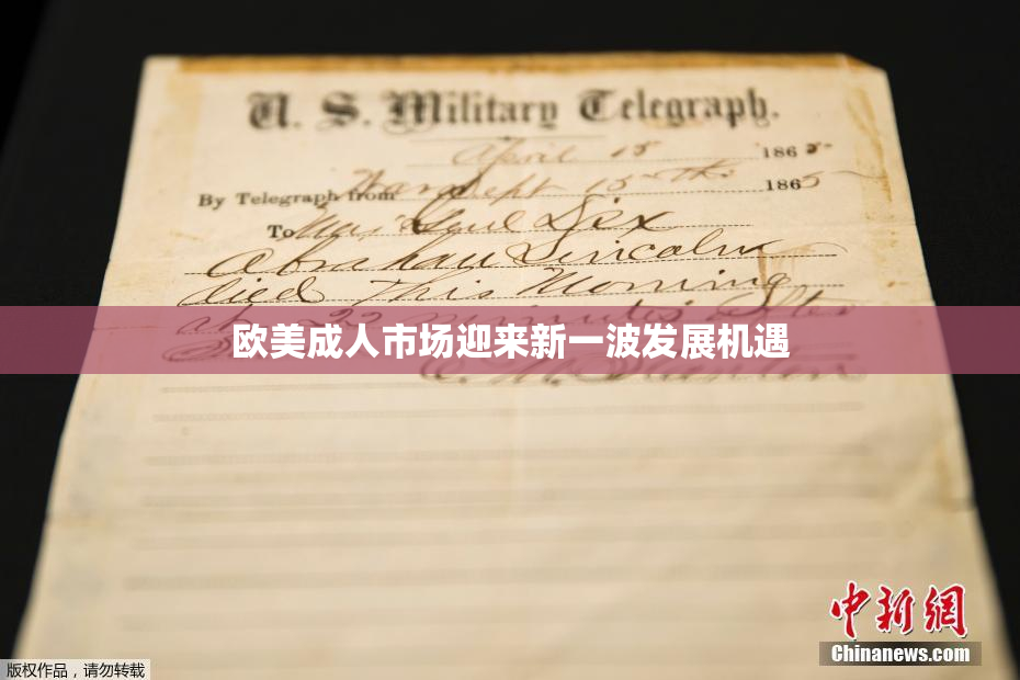 欧美成人市场迎来新一波发展机遇