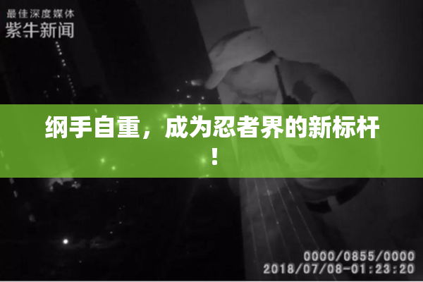 纲手自重，成为忍者界的新标杆！