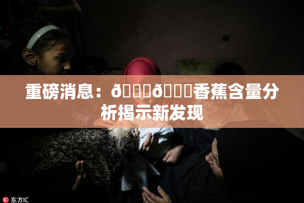 重磅消息：🔞🔞香蕉含量分析揭示新发现