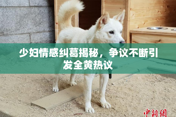 少妇情感纠葛揭秘，争议不断引发全黄热议