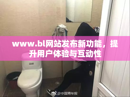 www.bl网站发布新功能，提升用户体验与互动性