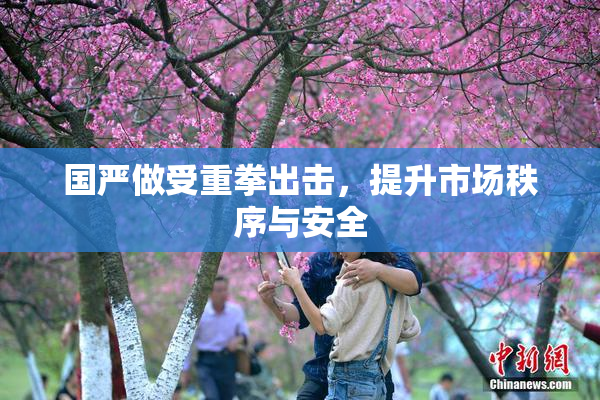 国严做受重拳出击，提升市场秩序与安全