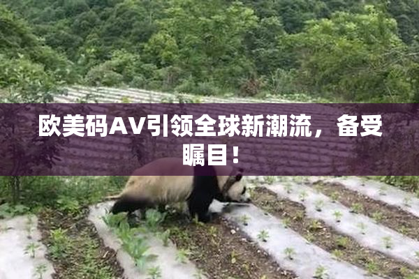 欧美码AV引领全球新潮流，备受瞩目！