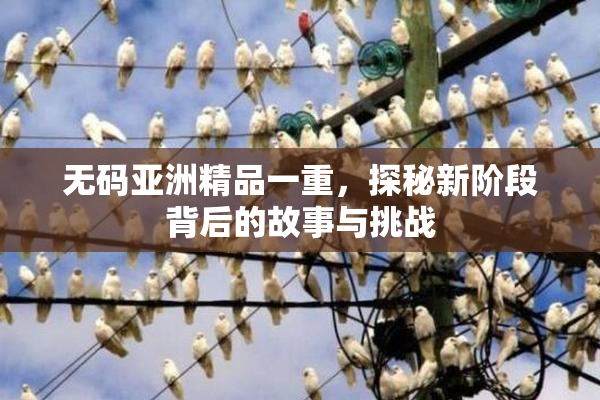 无码亚洲精品一重，探秘新阶段背后的故事与挑战