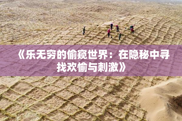 《乐无穷的偷窥世界：在隐秘中寻找欢愉与刺激》