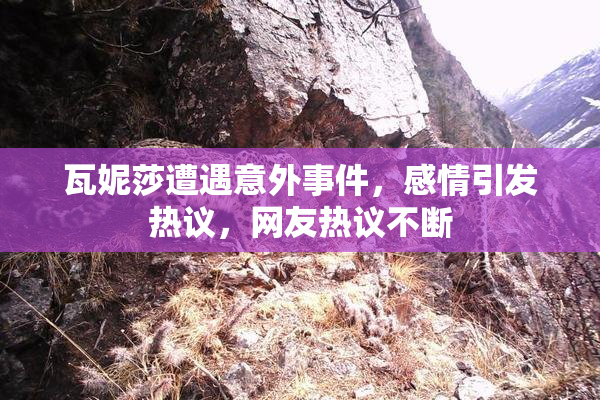瓦妮莎遭遇意外事件，感情引发热议，网友热议不断