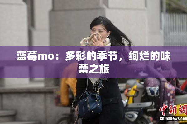 蓝莓mo：多彩的季节，绚烂的味蕾之旅