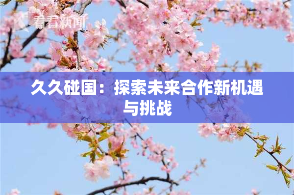 久久碰国：探索未来合作新机遇与挑战