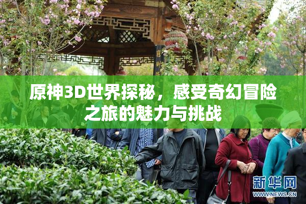 原神3D世界探秘，感受奇幻冒险之旅的魅力与挑战