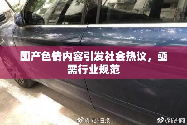 国产色情内容引发社会热议，亟需行业规范