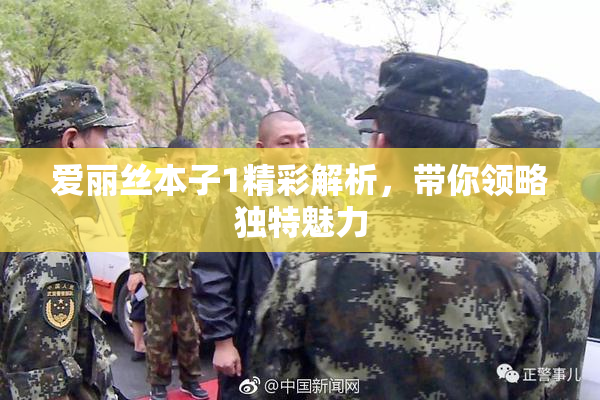 爱丽丝本子1精彩解析，带你领略独特魅力