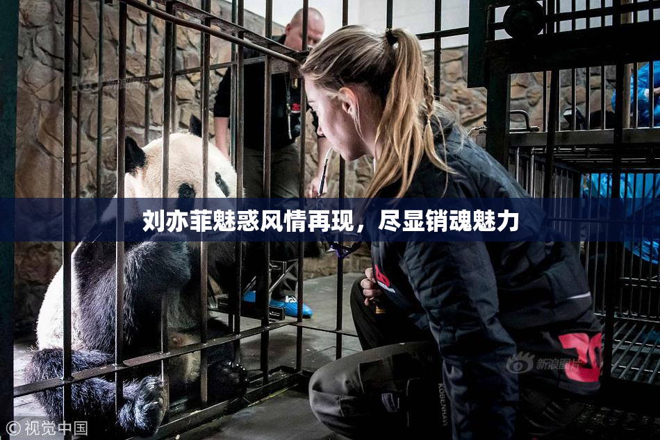刘亦菲魅惑风情再现，尽显销魂魅力