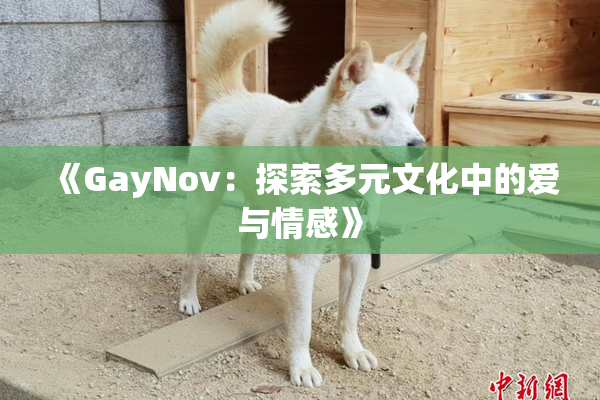 《GayNov：探索多元文化中的爱与情感》