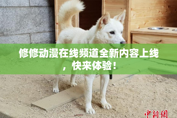 修修动漫在线频道全新内容上线，快来体验！