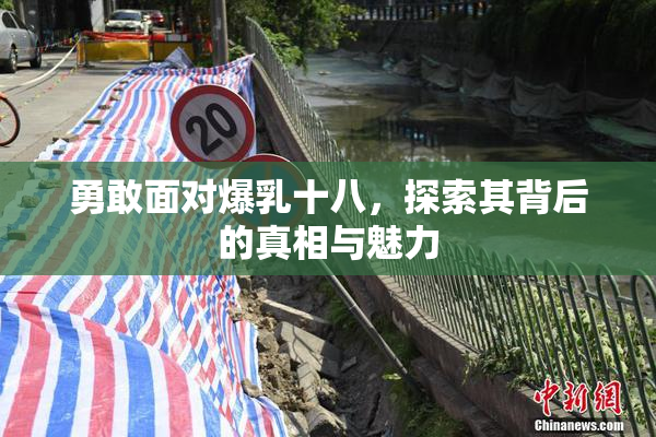 勇敢面对爆乳十八，探索其背后的真相与魅力