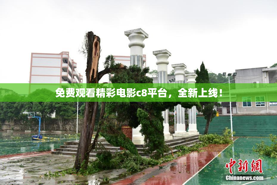免费观看精彩电影c8平台，全新上线！