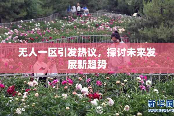 无人一区引发热议，探讨未来发展新趋势