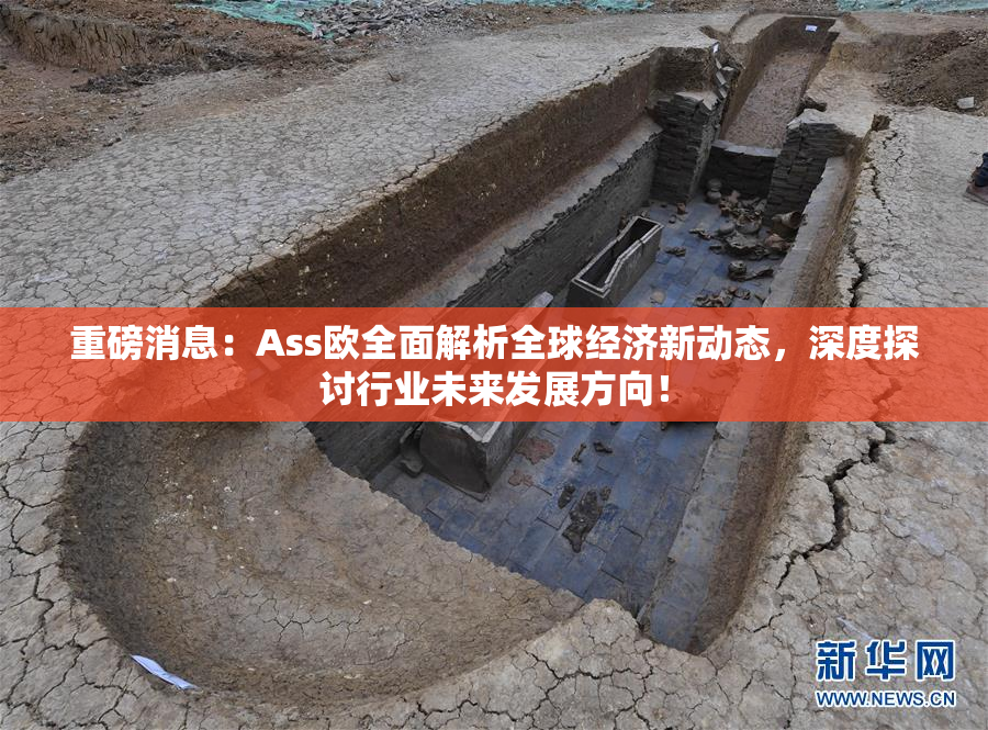 重磅消息：Ass欧全面解析全球经济新动态，深度探讨行业未来发展方向！