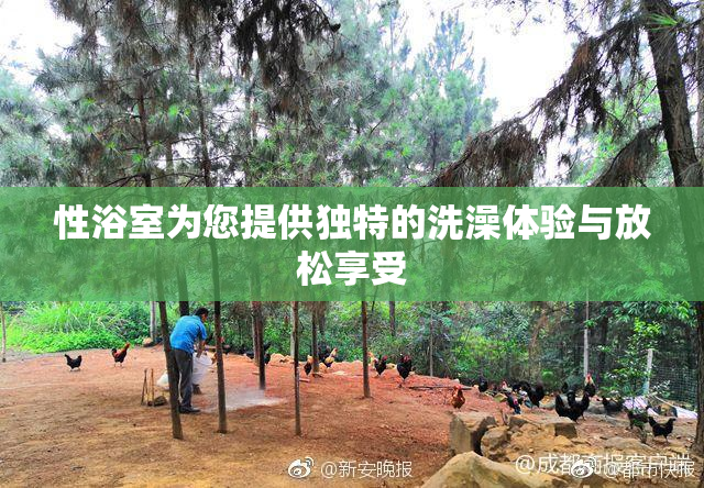 性浴室为您提供独特的洗澡体验与放松享受