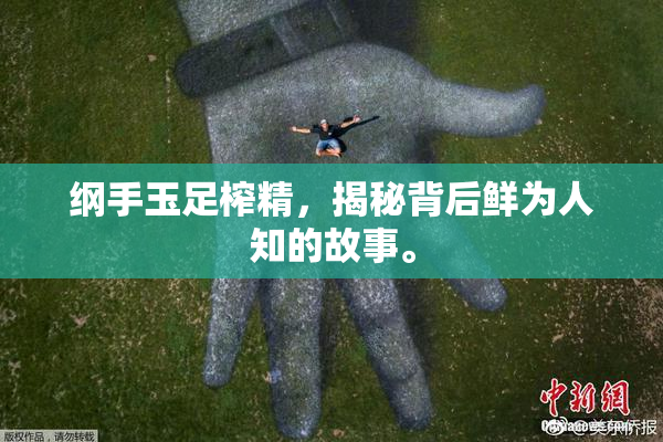 纲手玉足榨精，揭秘背后鲜为人知的故事。