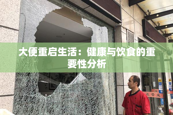 大便重启生活：健康与饮食的重要性分析