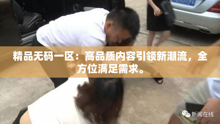 精品无码一区：高品质内容引领新潮流，全方位满足需求。