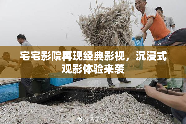 宅宅影院再现经典影视，沉浸式观影体验来袭