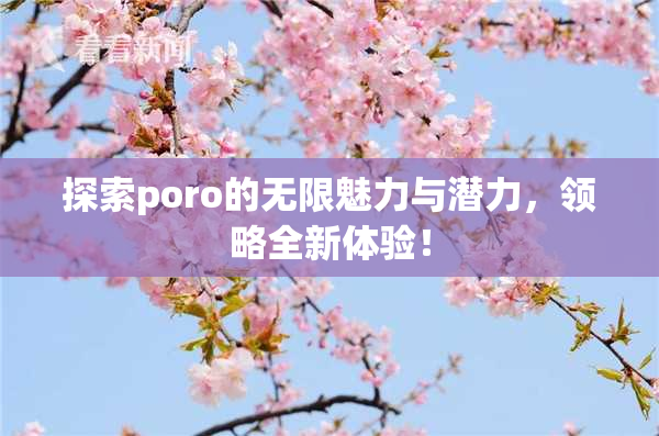 探索poro的无限魅力与潜力，领略全新体验！