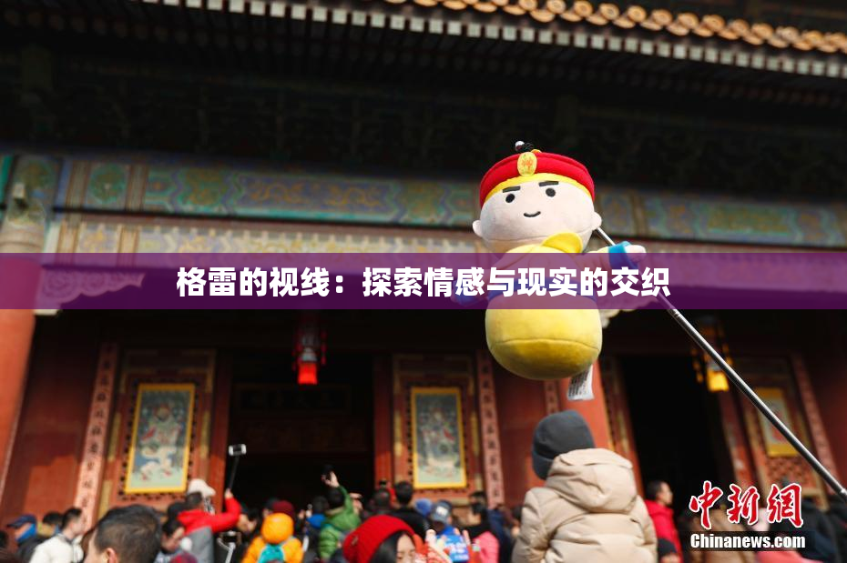 格雷的视线：探索情感与现实的交织
