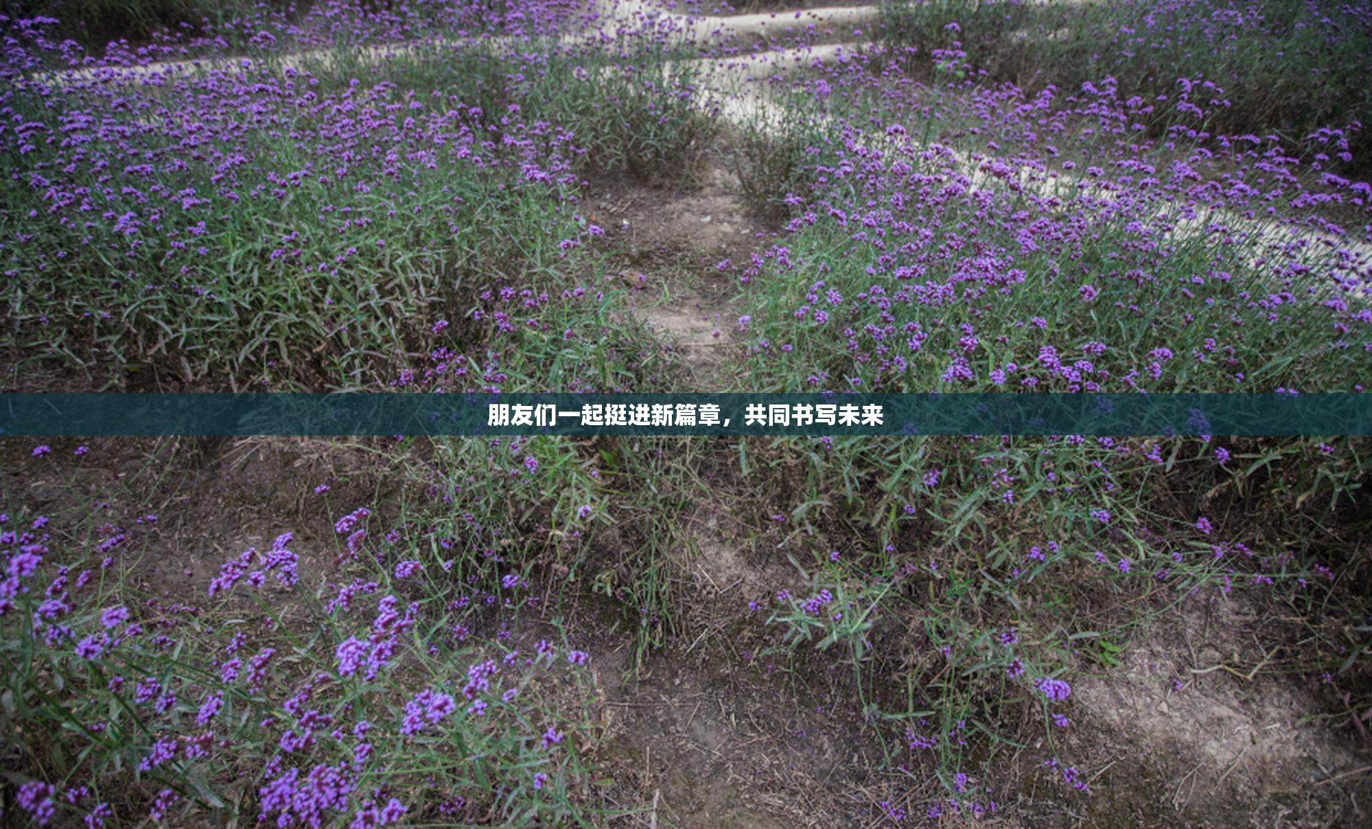 朋友们一起挺进新篇章，共同书写未来