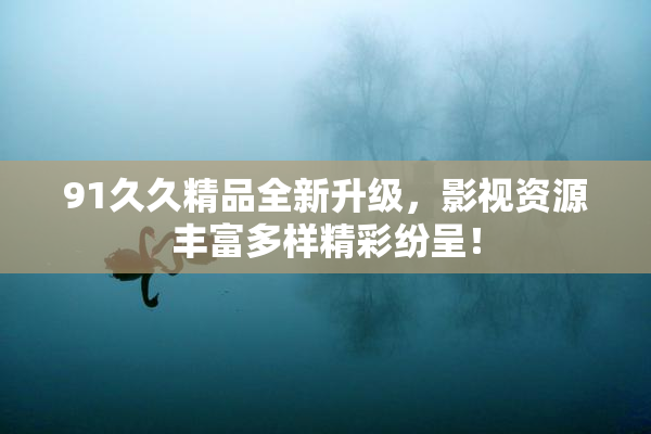 91久久精品全新升级，影视资源丰富多样精彩纷呈！