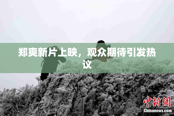 郑爽新片上映，观众期待引发热议