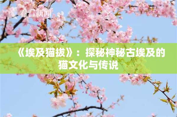 《埃及猫拔》：探秘神秘古埃及的猫文化与传说
