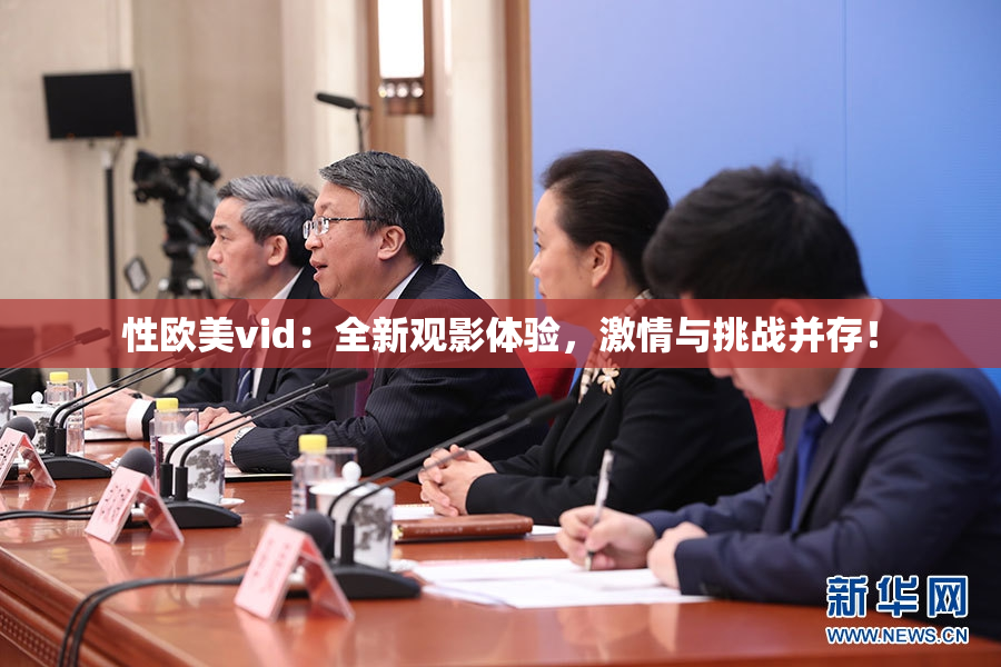 性欧美vid：全新观影体验，激情与挑战并存！