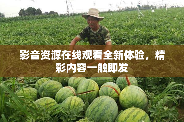 影音资源在线观看全新体验，精彩内容一触即发