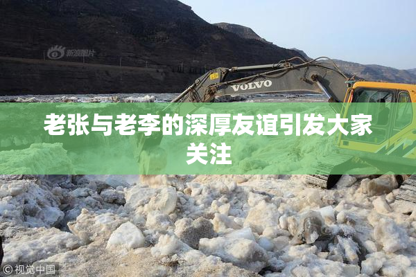 老张与老李的深厚友谊引发大家关注