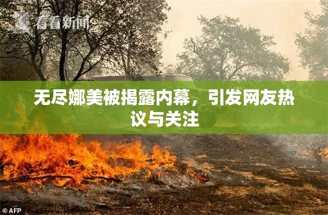 无尽娜美被揭露内幕，引发网友热议与关注