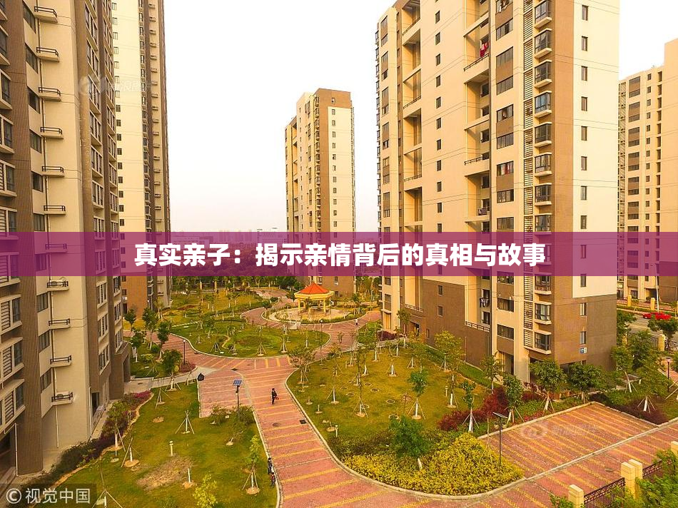 真实亲子：揭示亲情背后的真相与故事