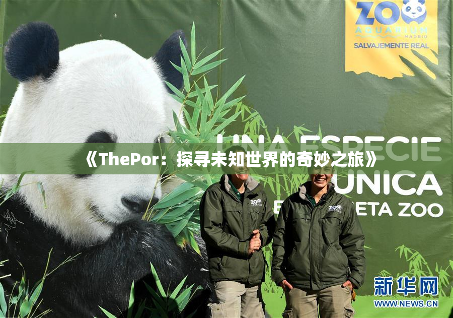 《ThePor：探寻未知世界的奇妙之旅》